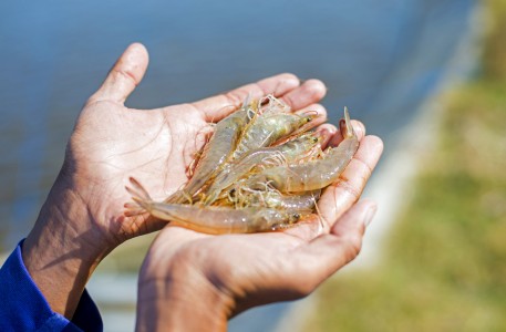 BMI Corporation Profil Photography Surabaya - Chendra Cahyadi photography Surabaya took the profile photography of BMI Corporation